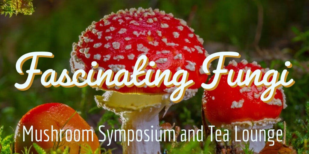 Fascinating fungi mushroom symposium and tea lounge