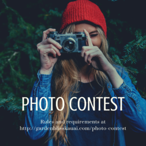 Photo Contest