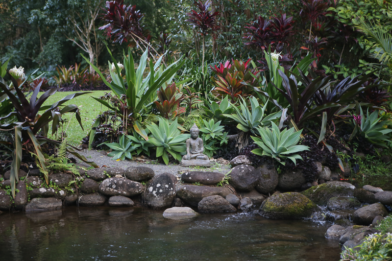 Tropical pond Hawaii buddha lava stone